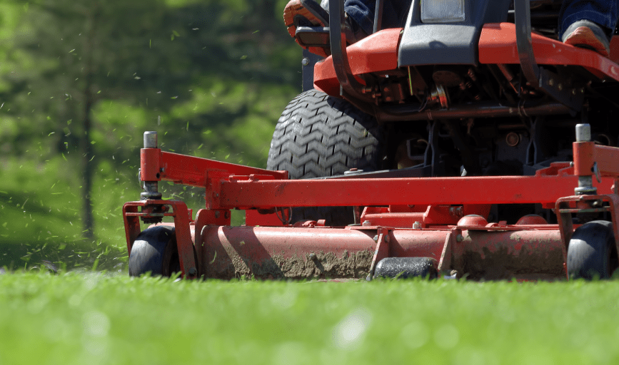 LAWN MOWING